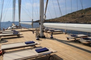 PALMALIFE sundeck